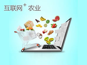 武漢農(nóng)產(chǎn)品電商銷售突破300億元 電商新業(yè)態(tài)賦能鄉(xiāng)村振興